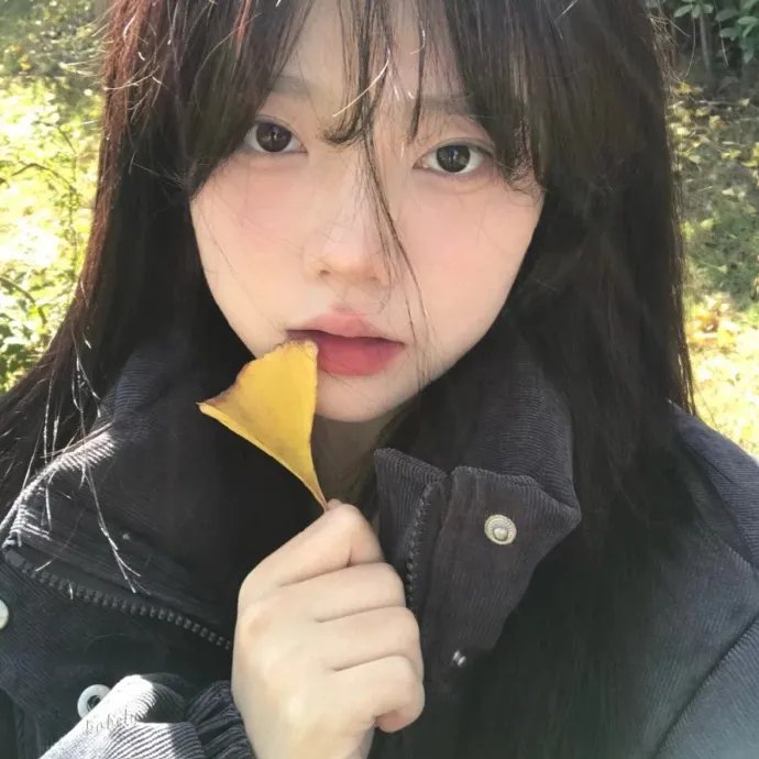文森特与世界的尽头